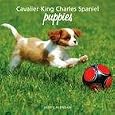 Cavalier King Charles Spaniel Puppies 2009 Wall Calendar