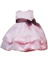 Rare Editions Baby 3M-9M 2-Piece PINK BROWN FLOATING PETAL ORGANZA Special Occasion Wedding Flower Girl Party Dress