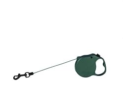 Flexi Retractable 10-Foot Mini Cord Leash, Green