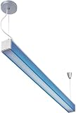 Lite Source LS-19682BLU Fluorescent Ceiling Lamp