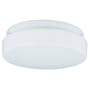 Sea Gull Lighting 7925-15 Single-Light Outdoor Fluorescent Ceiling Fixture, Acrylic White Diffuser and White