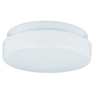 Sea Gull Lighting 7925-15 Single-Light Outdoor Fluorescent Ceiling Fixture, Acrylic White... by Sea Gull Lighting