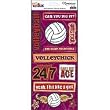 Reminisce Sticker Sheet-Sports Chick/Volleyball