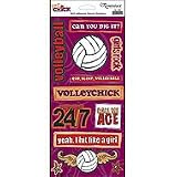 Reminisce Sticker Sheet-Sports Chick/Volleyball