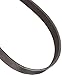 CONTINENTAL - 2560M16 Poly-V - SAP # 20081188 - UPC: 037256253959 - Factory New!
