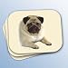 Pug Brown Mouse Pad