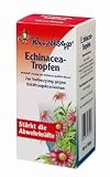 Produkt-Bild: Wurzelsepp Echinacea-Tropfen