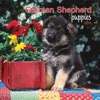 German Shepherd Puppies 2008 Mini Wall Calendar