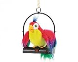 The Talking Parrot