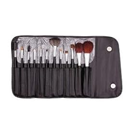 13 Piece Makeup Brush Set and Case