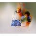 Alain pennec & s�bastien bertrand, R�unions de chantier