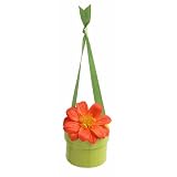 Bloembox Hanging Minis: Standard Tithonia in Gift Box