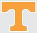 TENNESSEE VOLUNTEERS POWER T vinyl decal 6