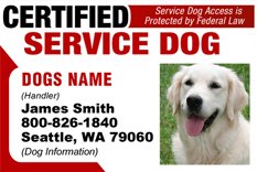 certified assistance dog