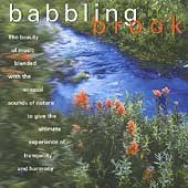 Babbling Brook by Anton Hughes