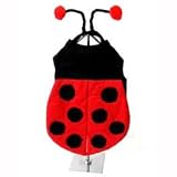 Dog Lady Bug Costume - L