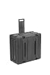 20In Rolling Shock Rack Case W/ Pull Handle 19 Rackable 2X7in