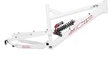 Azonic B52 Downhill and Freeride Dual Suspension Mountain Bike Frame