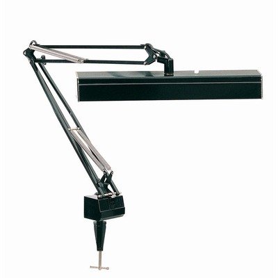Lite Source LSF-150BLK 2 Light Clampon Desk Lamp, Black