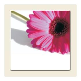 Pink Gerbera Wedding Place Cards - Pack of 10