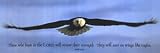 Inspirational - Eagle - Poster (36x12)