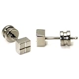 Titanium Stud Earring