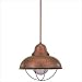 Sea Gull Lighting 6658-44 Sebring One-Light Pendant, Weathered Copper Finish with Clear Seeded Glass
