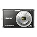 Sony Cybershot DSC-W190 12.1MP Digital Camera with 3x Super Steady Shot Stabilized Zoom and 2.7 inch LCD (Black)