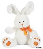 Knowing God: Walking through the Book of Books