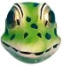 Frog Face Mask