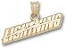 Tampa Bay Lightning Solid 10K Gold ''LIGHTNING'' Pendant