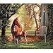 Gold Collection Mare & Foal Counted Cross Stitch Kit: 14x12