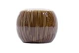 Coconut Drinkware, 3DZ