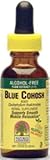 Blue Cohosh Alcohol Free Extract 1 Ounces