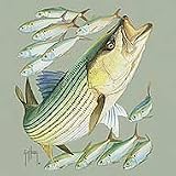 Striped Bass Stonewashed Green T-Shirt
