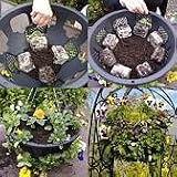 from EASY FILL PLANTOPIA EASY FILL 14 TOP AND SIDE PLANTING HANGING BASKETS X2 WITH FREE SHIPPING