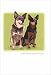 Grrreen Australian Cattle Dogs Note Cards
