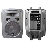 Pyle-Pro PPHP1098A 600 Watt 10'' 2-Way Plastic Molded Powered PA speaker System