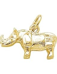 Rembrandt Charms Rhino Charm