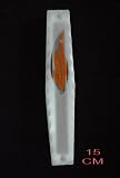 Glass Mezuzah Case