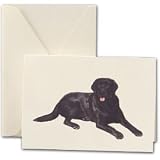 Black Lab Dog Notes