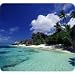 ALLSOP Art D'Argent Beach Mouse Pad