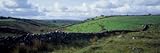 IMAGE OF Stone Wall on a Landscape, Republic of Ireland by Panoramic Images , 24x72