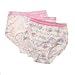 Hanes Girls 3 Pack Barbie Brief - 1386ba