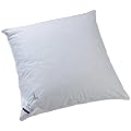 Billerbeck 5454230001 Platinedition Kissen - Platin 30 - 80/80