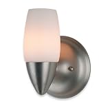 Review Royce Lighting RV2162/1BS / Royce Lighting RV2162/1BS One-Light Vanity Brushed Steel with Opal Etched Globe