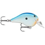 Rapala Divesto