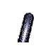 �p�i���[�T�[(Panaracer) 8H2620-RL ���b�a���C�� ��/�I�[�v�� H 26X2.00 8H2620-RL