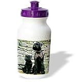 Dogs Giant Schnauzer - Giant Schnauzer - Water Bottles