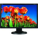 Display Multisync E222W Widescreen Monitor Widescreen